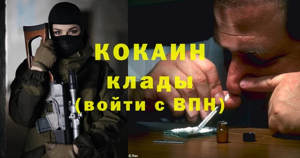 spice Верея