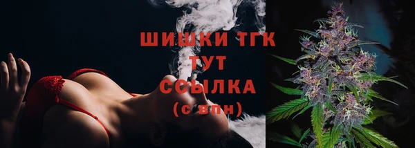 spice Верея