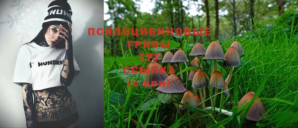 винт Верхний Тагил
