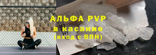 spice Верея